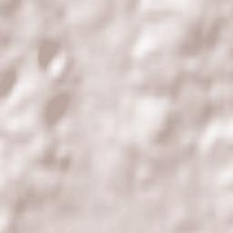 Schwarzach Terrain Map