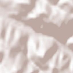 Trenčianske Teplice Terrain Map