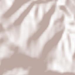 Velykyi Bereznyi Raion Terrain Map