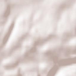 Wiernsheim Terrain Map