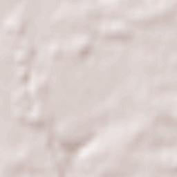 Schechingen Terrain Map