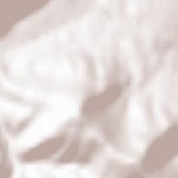 Dolyns’kyy Rayon Terrain Map