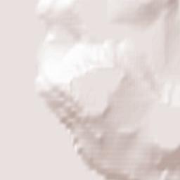 North Cowichan Terrain Map