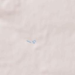 Chanteloup-en-Brie Terrain Map