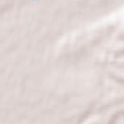 Bischweier Terrain Map