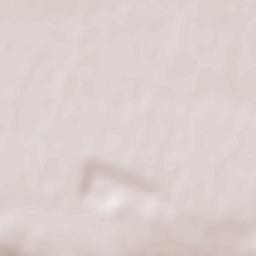 Tasovice Terrain Map