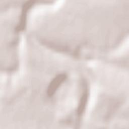 Skala-Podil’s’ka Terrain Map