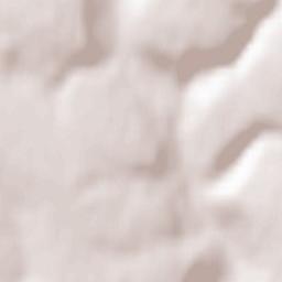 Nova Ushytsya Terrain Map