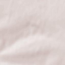 Blyznyuky Terrain Map