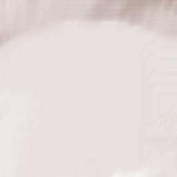 Lake Cowichan Terrain Map