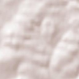 Friolzheim Terrain Map