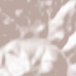 Dobšiná Terrain Map