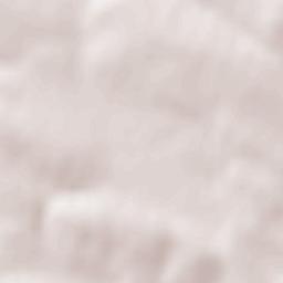 Tlumats’kyy Rayon Terrain Map