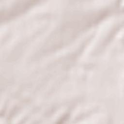 Saizerais Terrain Map