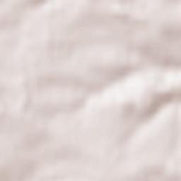 Buchdorf Terrain Map