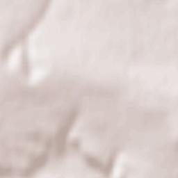 Toshkivka Terrain Map