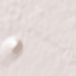 Birobidzhan Terrain Map