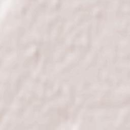 Chevilly-Larue Terrain Map