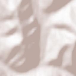 Volovets Raion Terrain Map