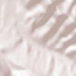 Rozhnyativs’kyy Rayon Terrain Map