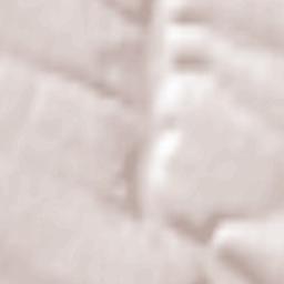 Borshchevskiy Rayon Terrain Map