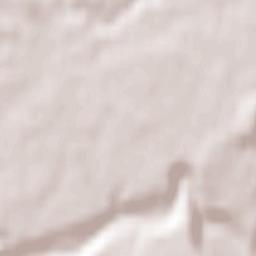 Forestville Terrain Map