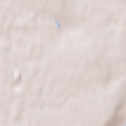 Villeneuve-le-Roi Terrain Map