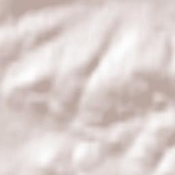 Althengstett Terrain Map