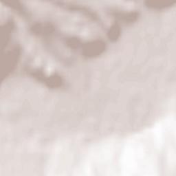 Perechyn Terrain Map