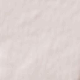 Paray-Vieille-Poste Terrain Map