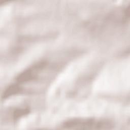 Bissingen Terrain Map