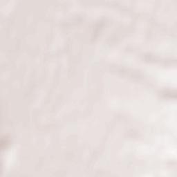 Lehota pod Vtáčnikom Terrain Map