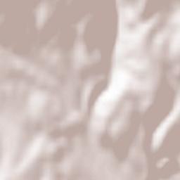 Kamianytsia Terrain Map