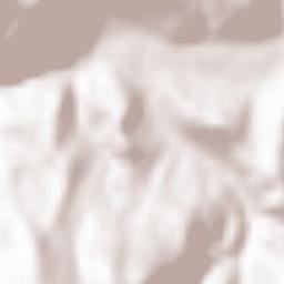 Volovets Terrain Map