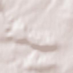 Saulx-les-Chartreux Terrain Map