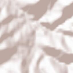 Bühlertal Terrain Map