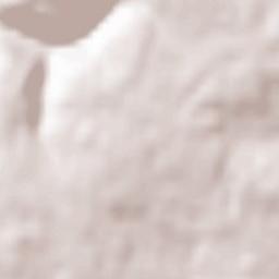 Neuweiler Terrain Map