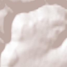 Bad Teinach-Zavelstein Terrain Map