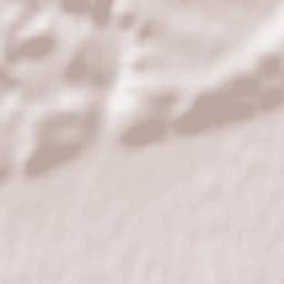 Moosthenning Terrain Map