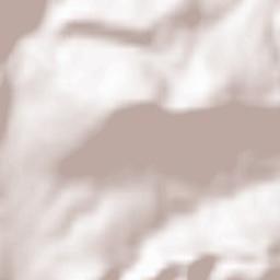 Brezová pod Bradlom Terrain Map