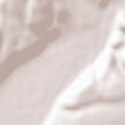 Nevyts’ke Terrain Map