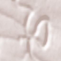 Kamianets-Podilskyi Terrain Map