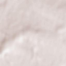 Ladyzhyn Terrain Map