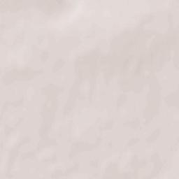 Spas’ke Terrain Map