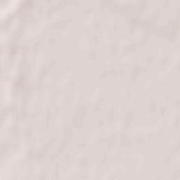 Novomoskovsk Raion Terrain Map