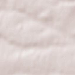 Pfulgriesheim Terrain Map