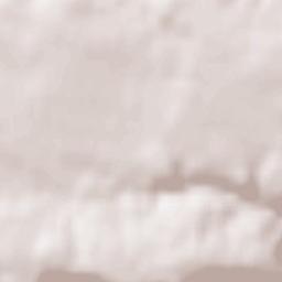 Altenburg Terrain Map