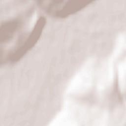 Onokivtsi Terrain Map