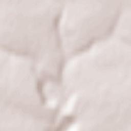 Subottsi Terrain Map