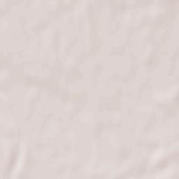 Stanytsya Luhans’ka Terrain Map